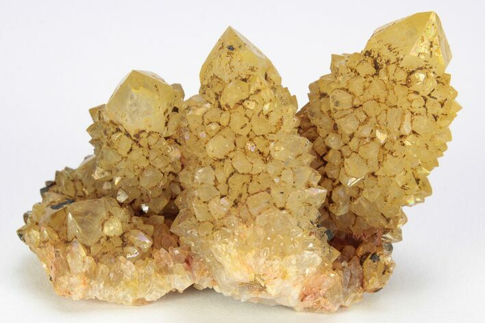 Sunshine Cactus Quartz Crystal Cluster - South Africa #212634